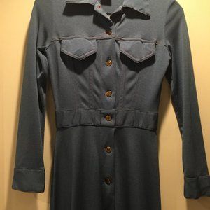 Vintage 70's Joy Stevens Full Button Maxi dress *Daisy Jones Costume*